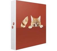 Ceanothe Album Photo Pochette Cache-Cache Chat 200 Photos 10x15 cm Animaux - Mini Format - 100 Pages Ivoire- 2 Photos par Page - Taille de l'album Photo : 25x25 cm - Marque Française