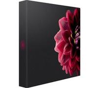 Ceanothe Album Photos Pochettes Dahlia 200 Photos 11,5x15 cm, 100 Pages, 200 Photos 11,5x15, Dimensions totales : 248x230x62 mm - Marque française