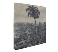 Album Photo Traditionnel palmier 600 Photos 10x15 cm Beige, Compatible 11,5x15 cm 100 pages Taille : 33.5x36 cm - Fabriqué en France