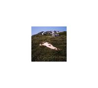 Album vinyle FIRE TALK One Million Love Songs Édition vinyle rouge