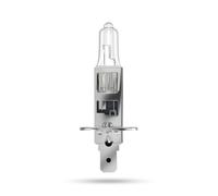 ALCA 720410 Ampoule, projecteur longue portée