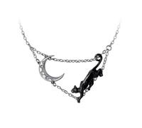 Alchemy Gothic Minnaloushe Pendentif Collier Goth Noir Étain 19"