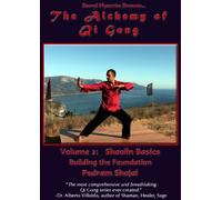 Alchemy of Qi Gong 2: Sholin Basics-Building The