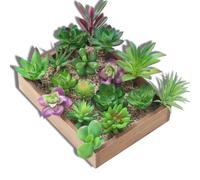 ALCXAZS 12 Pièces Plante Succulente Artificielle Plantes Sans Pot Plastique Mariage Réaliste Succulentes Balcon Couleur Aléatoire