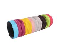 ALCXAZS Tunnels pour cobayes : Un Espace de Jeu divertissant pour cobayes, furets, Souris et hérissons. Stimule l'activité Physique des Petits Animaux. Accessoires pour, 2 Voies
