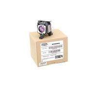 Alda PQ Professional, Lampe de projecteur Compatible avec CS.5JJ1B.1B1, 5J.J1S01.001, CS.5JJ2F.001, 5J.J1M02.001 pour BENQ MP610 MP620P MP720P MP770 W100 Projecteurs