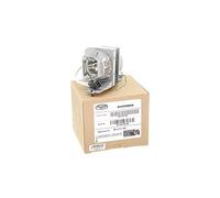 Alda PQ Professional, Lampe de projecteur Compatible avec MC.JJT11.001 pour Acer H6520BD, P1510, S1283E, S1283HNE, S1383WHNE Projecteurs