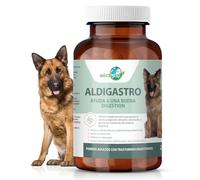 Aldivet Santé Digestive Chiens - Probiotiques - Diarrhée - Détox Naturel - Soutien Complet Foie - Selles Lâches - Réduction Inflammation Intestinale - Mauvaise haleine - 240g