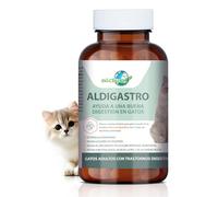 Aldivet Supplément de santé digestive chez les chats - diarrhée - probiotiques - détoxification naturelle - soutien foie - soutient l'absorption des nutriments - réduction de l'inflammation