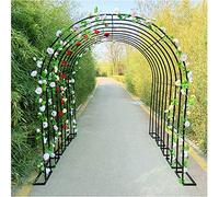ALDYS Grande Arche De Jardin Extérieure, Tonnelle en Métal Robuste pour Jardin De Pelouse Intérieur/Extérieur Diverses Plantes Grimpantes, Assemblage Facile,Noir,W1.2M*H2.2M