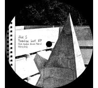 Alek S - Paradise Lost (IN ndres Zacco Remix)