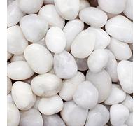 Aleker Galets blancs de 1 kg pour pots de fleurs, pierres polies décoratives naturelles de 2 à 3 cm, pierres de rivière pour jardin, aquarium, aménagement paysager, étangs, terrariums, remplissage de
