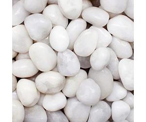 Aleker Galets blancs de 1 kg pour pots de fleurs, pierres polies décoratives naturelles de 2 à 3 cm, pierres de rivière pour jardin, aquarium, aménagement paysager, étangs, terrariums, remplissage de