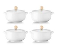 ALELION Lot de 4 petits bols à soupe à l'oignon français de 473,6 g avec double poignées et couvercles en verre, passent au four, pour ragoût, chili, fromage, tarte, blanc