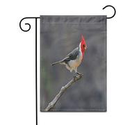 Alerte Verte ! Cardinal Rouge Hawaïen À Crête Rouge Dans Le Canyon De Waimea, À Kauai Drapeau Couleurs Vives Drapeau De Jardin Décoratif Drapeaux Pour Extérieur Cour Mur 30X45Cm