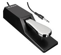 Sustain Type Piano