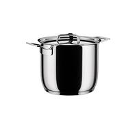 Alessi Ajm100/20 Pots&pans Marmite en Acier Inoxydable 18/10 Brillant, Ø 20 Cm