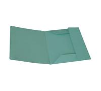 alevar 3348/vert chemise Manilla