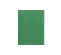 Alevar Lot de 50 chemises simples en carton bristol 270 g, format 25 x 34 cm, couleur verte,
