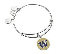 Alex and Ani Women's Color Infusion University of Washington Bangle Bracelet, Shiny Silver