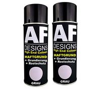Alex Flittner Designs Lot de 2 bombes de peinture de voiture - Gris - Apprêt antirouille
