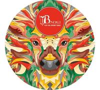 Alex Ranerro - Triangular (Politics of Dancing Remix) [Import]