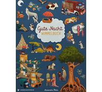 Alexandra Helm Gute Nacht Wimmelbuch: Gute Nacht Geschichten in Bildern (Relié)
