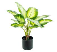Alexandra House Living Plante décorative en Plastique Aglaonema 50 cm