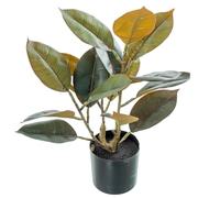 Alexandra House Living Plante décorative en Plastique chêne 50 cm