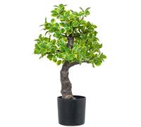 Alexandra House Living Plante décorative en Plastique Euonymus 45 cm