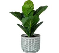 Alexandra House Living Set de Pots de Fleurs Blanc céramique 4 pièces