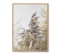 AlexandreHouse Tableau Wild Plants i_FASE5