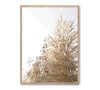 AlexandreHouse Tableau Wild Plants ii_FASE5