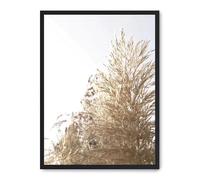 AlexandreHouse Tableau Wild Plants ii_FASE5