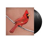 Alexisonfire - Old Crows/Young Cardinals