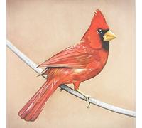 Alexisonfire - Old Crows / Young Cardinals [Vinyl Lp]