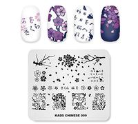 Alexnailart Nail Art Plaque Estampage Style Chinois Été Modèle Image Plate Outils Nail Art (CN009)