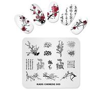 Alexnailart Nail Art Stamping Assiette Fleurs Style Modèle Chinois Naturel Modèle Image Plate Nail Art Outils (CN005)