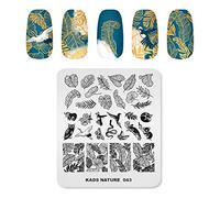 Alexnailart Plaque de nail stamping en acier inoxydable - Nail art (NA043)