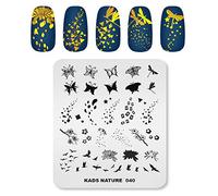 Alexnailart Plaque de nail stamping en acier inoxydable pour nail art (SK004)