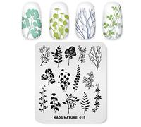 Alexnailart Plaques d'estampage Nail Art Gabarits de gabarit de manucure Manucure Nature plante branches feuilles Fleurs sauvages Multi-Pattern Design Stamping Image Outils de pochoir Nail Art