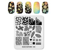 Alexnailart Professionnels Plaques de stamping L'automne Feuilles Ginkgo Feuille d'érable Modèle Manucure Impression Outil