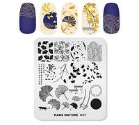 Alexnailart Professionnels Plaques de stamping L'automne Feuilles Ginkgo Verset Modèle Manucure Impression Outil