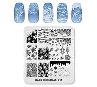 Alexnailart Professionnels Plaques de stamping Noël Modèle Manucure Impression Outil