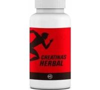 Alfa Herbal Creatina Polvo 750g