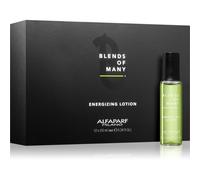 Alfaparf Milano Blends of Many Energizing sérum énergisant pour cheveux secs et abîmés 12x10 ml