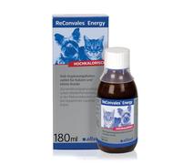 Alfavet Energy-Complément Alimentaire Alimentaire pour Convalescence, insuffisance pondérale et lipidose hépatique du Chat L