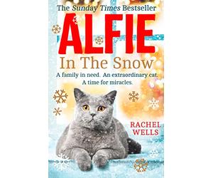 ALFIE IN THE SNOW