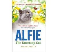 Alfie the Doorstep Cat by Rachel Wells Paperback Book Rachel Wells (Auteur)