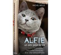 Alfie, un ami pour la vie - Rachel Wells - City - broché - Roman
